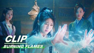 Bai Cai Helps Gou Recover Overnight | Burning Flames EP30 | 烈焰 | iQIYI