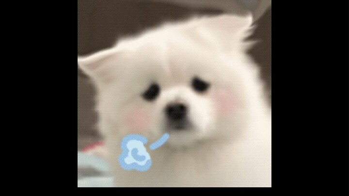 #Meteor Cek sekali klik kondisi mental mahasiswa masa kini