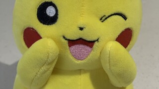 关于骗子复旦小番茄试图骗我不成和骗阿笨录