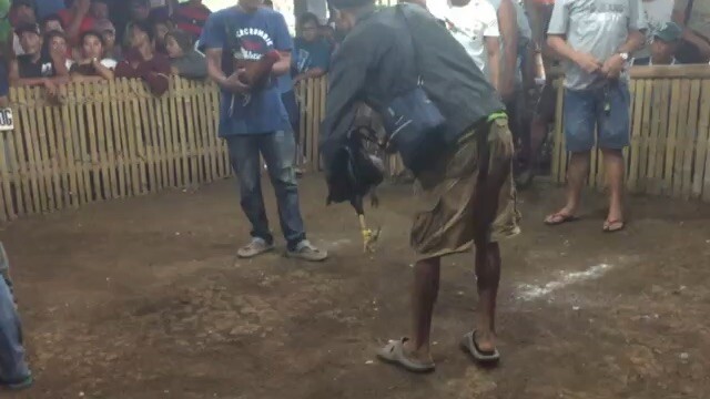 Pure Dan Gray 1x winner