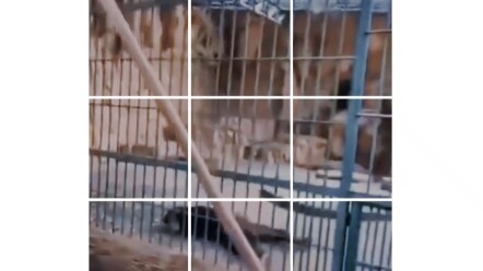 حسنًا، صدّقت أننا من نفس الأصل.