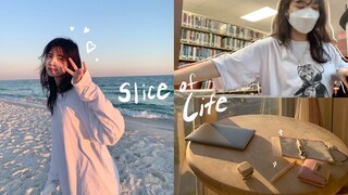 Slice of Life: Study Vlog, New Places to Study, Productive Days & Cleaning