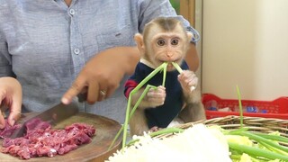 Beautiful Baby Monkey Maku cute sit eating without hassle mom while cutting vegetable