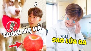 Đông Dương Đại Ngáo | Đông Dương Ngáo Và Bố Bày Mưu Hại Mẹ Nhưng Bất Thành... 🤣 Gâu Đần Official