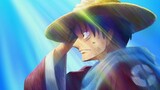 [ZORO_rn] [One Piece] ลูฟี่xวีวี่ - สู้สุดกำลังเพื่อปกป้องเพื่อนคนสำคัญ