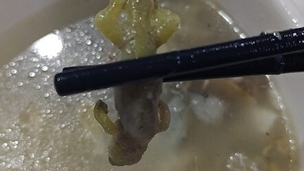 Free fish soup with a gecko in it