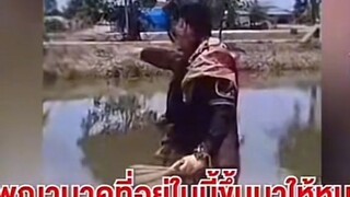 พญานาค