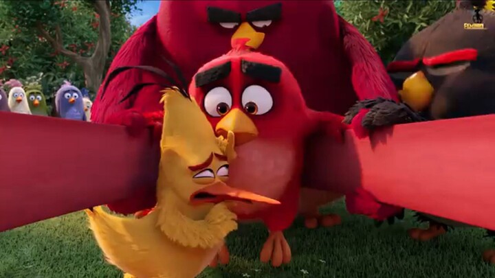 🐦🎬 The Angry Birds Movie — A Journey of Friendship & Adventure! 🔥The world of Angry Birds is full