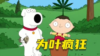 [Ngốc] Brian phát cuồng vì "Leaf" và bánh bao giúp anh ấy