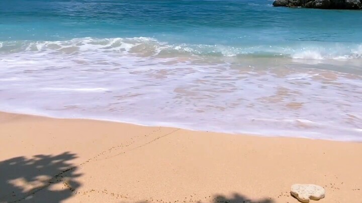 vitamin sea