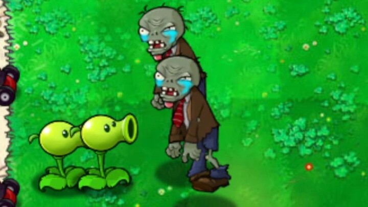 Menangis Terharu oleh Aroma Bunga Matahari