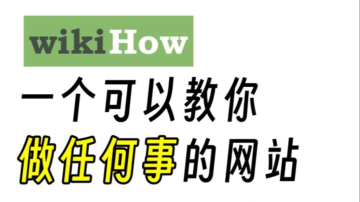 Mày đang dạy tao làm việc à? Mà nói thật là mày dạy cũng khá đấy.