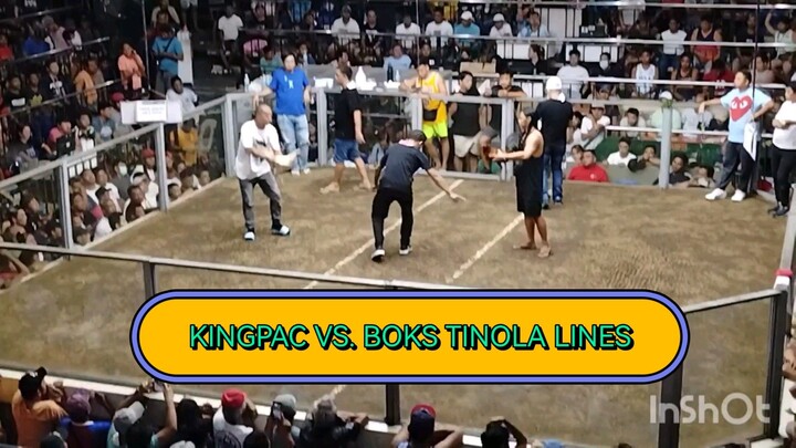 KINGPAC VS. BOKS TINOLA LINES BOT3
