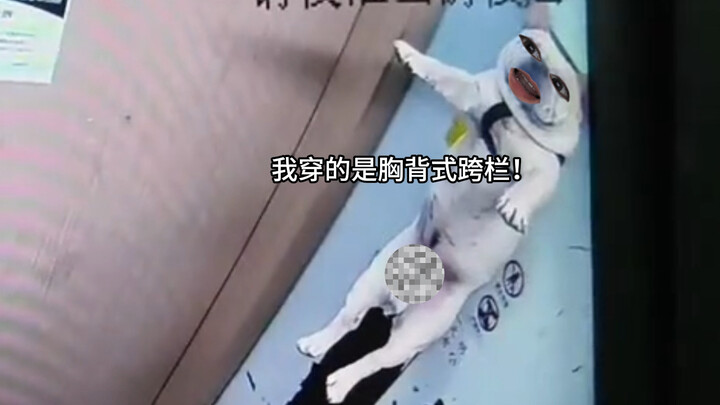 一进电梯就拿枪指着人家
