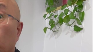 Đạo sĩ đánh giá thế nào về truyền thuyết phàm nhân tu trường sinh?