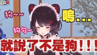 【3bk集合】就说了不是狗嘛，你们这些人怎么回事呢【#ゲームるゲームる】#18