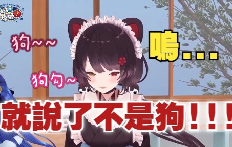 【3bk集合】就说了不是狗嘛，你们这些人怎么回事呢【#ゲームるゲームる】#18