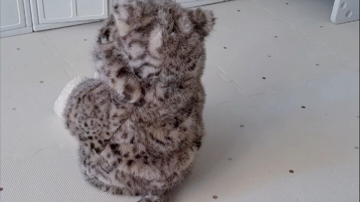 The little leopard who was sneaking a peek at the phone got caught—Uncle, don’t get me into trouble!