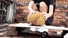 teknik belah durian