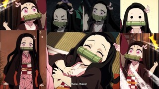 Nezuko chan kawaii moments