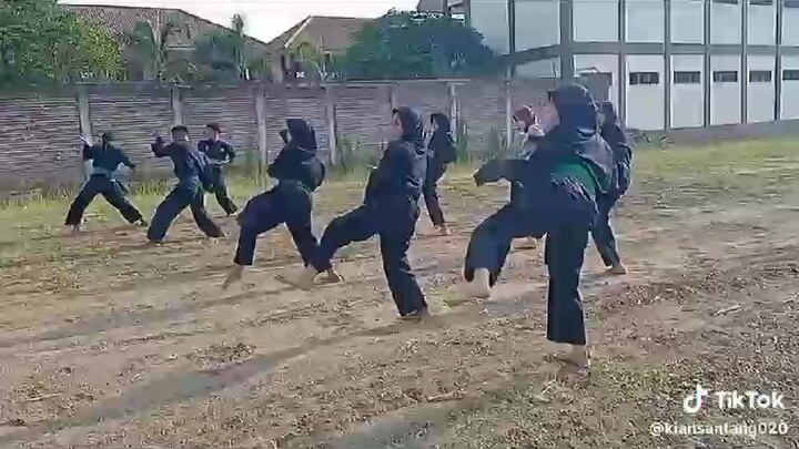 pn