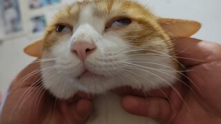 Pudding: This feeling... is so... fuzzy...!!!