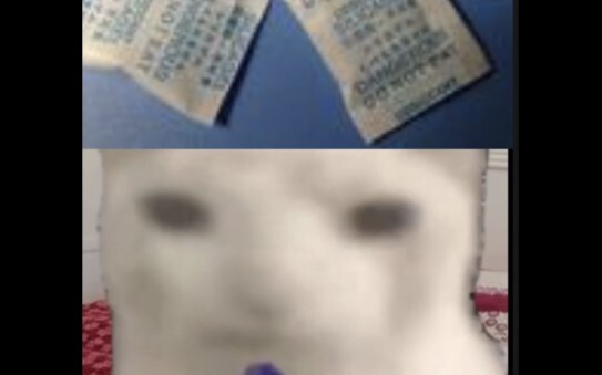 【Meme mèo】Ba tuổi, tôi lục tung nhà tìm đồ ăn: