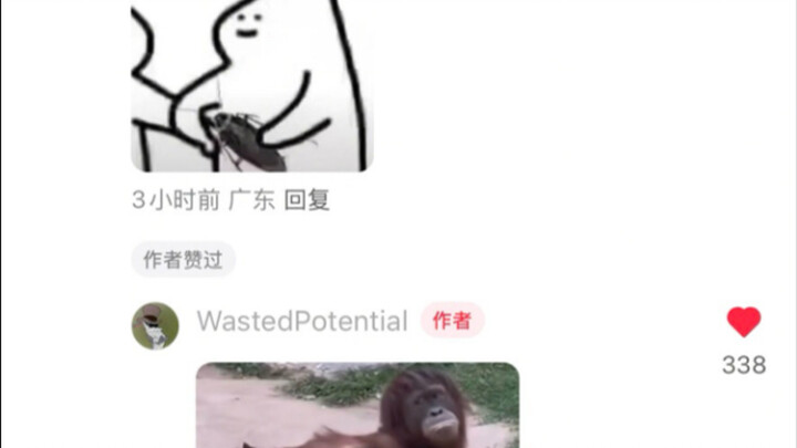 Tiktok难民涌入红薯后的场面太有意思了