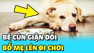 💥Bé cún GIẬN DỖI vì bố mẹ LÉN ĐI CHƠI khi bé còn đang ngủ | TIN GIẢI TRÍ