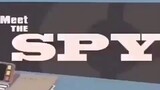 Meet the SPY