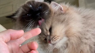 我有点懵了，到底我们三个谁是第三者？？？