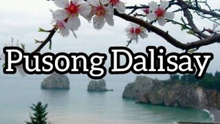 PUSONG DALISAY (A PURE HEART TAGALOG VERSION) LYRIC VIDEO