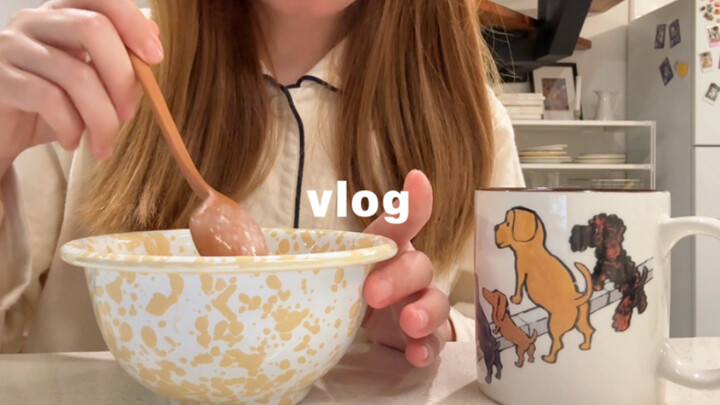 VLOG 37/ Rutinitas mingguan & catatan memasak setelah pulang kerja/ Menggulung sushi dengan perut la