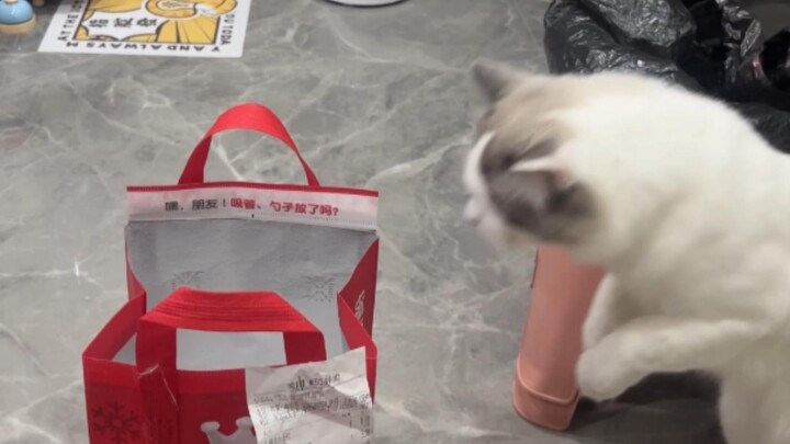 Give the cat who loves to get into the bag a little shock