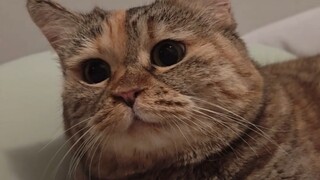 นี่ พรุ่งนี้เราไม่กินเค้กกันดีไหม?