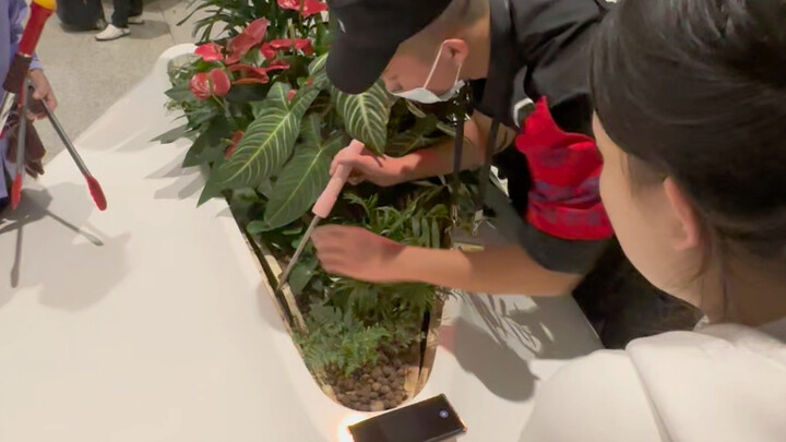 Ada orang yang emang lahir untuk jadi content creator kocak: ponselnya jatuh ke celah tanaman di ban