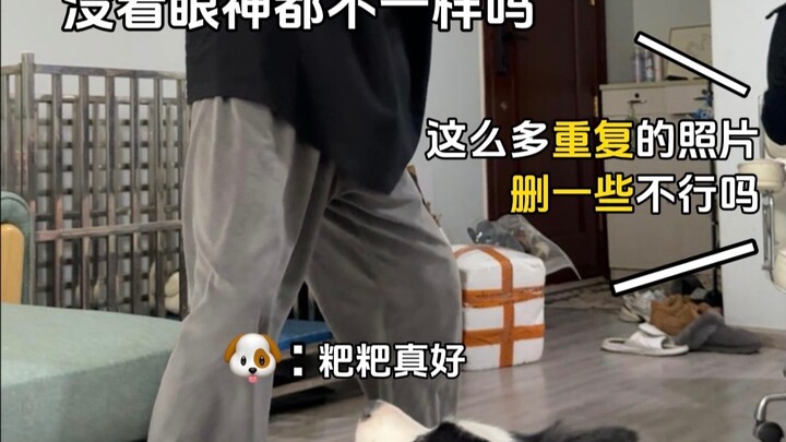 Moments That Dog Owners and Cat Owners Instantly Understand