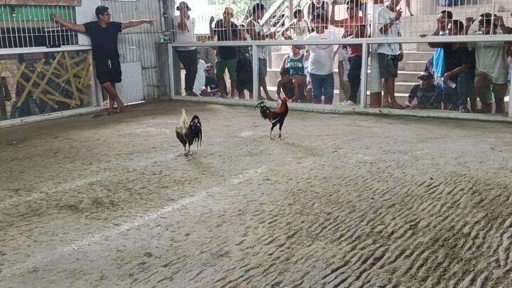 kinaya kahit matangkad kalaban