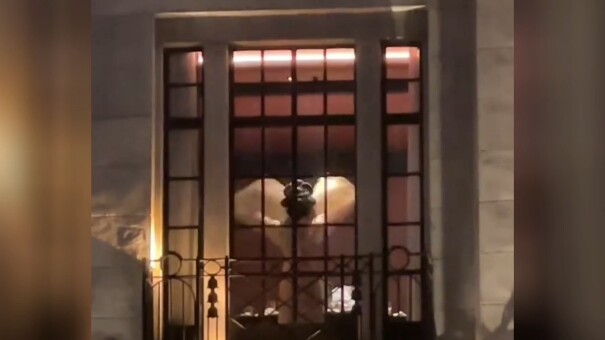 น่าเสียดายที่ฉันไม่ใช่ลูกเศรษฐี จะได้ไปสนุกกับคุณใต้แสงจันทร์และดอกไม้