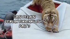 SATU PERAHU DENGAN BINATANG BU45 PART 3