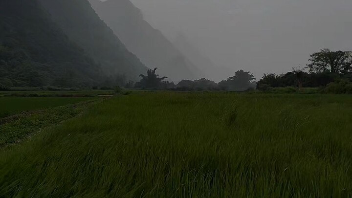 Nature miracle