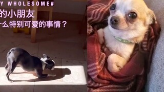 Hal lucu apa yang dilakukan anak Anda?