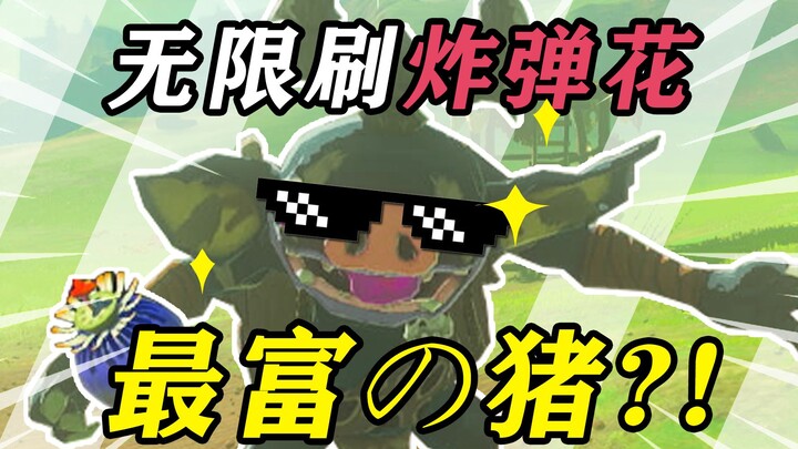 【Zelda: Tears of the Kingdom】Babi Terkaya di Seluruh Game!? Babi Bisa Mereplikasi Tanpa Batas Bomb F