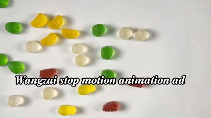 【Life】Want Want Stop-motion Animation