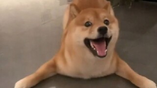 “你也想舞起吗？”