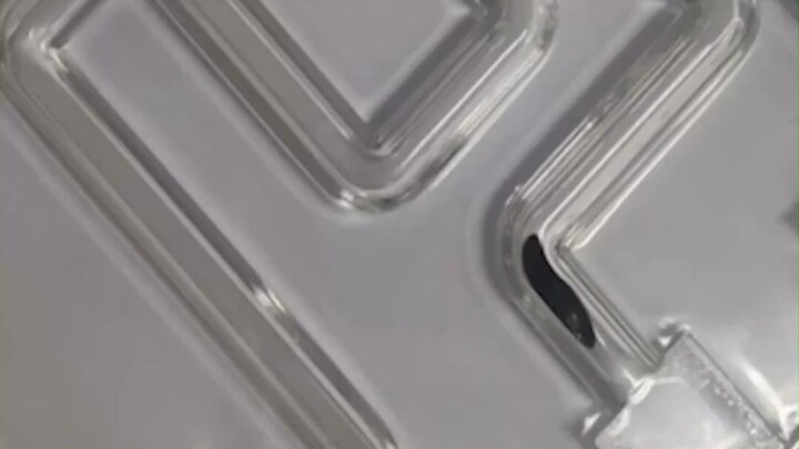 像“毒液”一样的粘液机器人，能取出体内异物