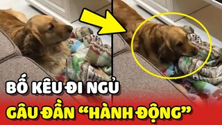 Cạn lời với HÀNH ĐỘNG của Gâu Đần khi bố bảo ĐI NGỦ 😂 | Yêu Lu