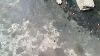 🎆