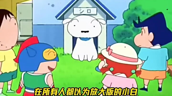 Kazama knows Shin-chan better than a prophet—his predictions are spot-on!