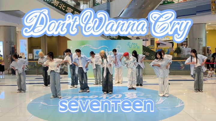 [Will I still cry when I hear this song in 2025?] SEVENTEEN – Don't Wanna Cry Tour